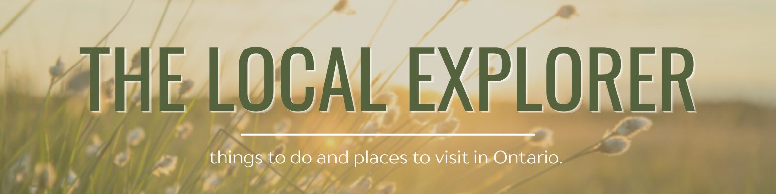 The Local Explorer